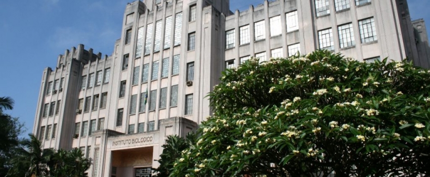 Apta Portas Abertas 2025: atividades do Instituto Biológico acontecem em São Paulo, Votuporanga e Campinas