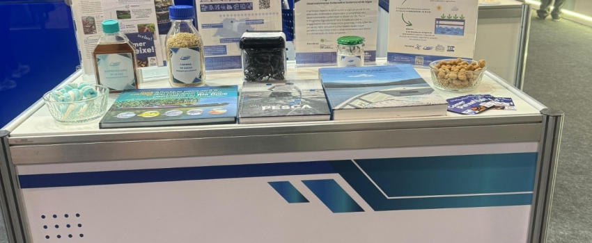 Instituto de Pesca impulsiona inovação na Seafood Show 2026