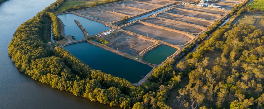 Dia Mundial da Aquicultura: o papel do Instituto de Pesca no desenvolvimento sustentável da atividade