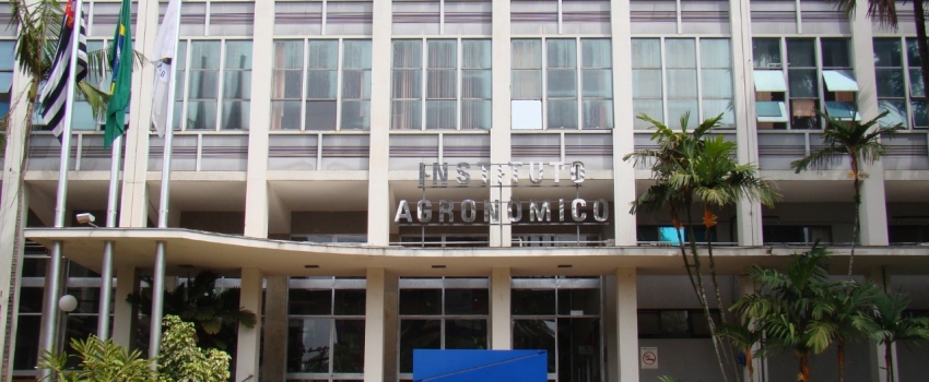 Instituto Agronômico completa 138 anos com produtos inéditos