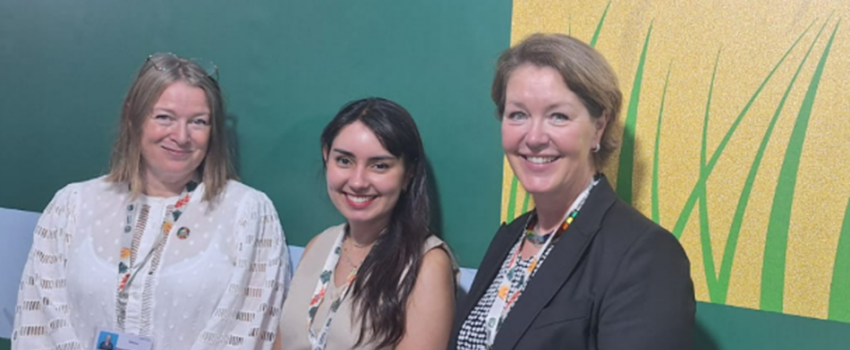 Núcleo de Pesquisas Pescado para Saúde participa da COP 30 