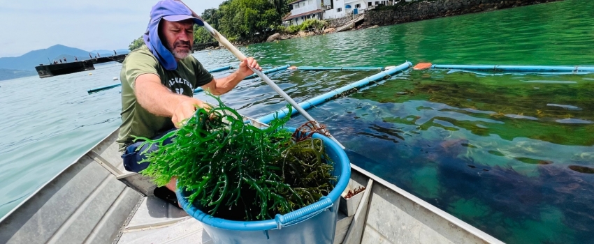 Instituto de Pesca lança campanha para preservação das áreas de maricultura em Ubatuba