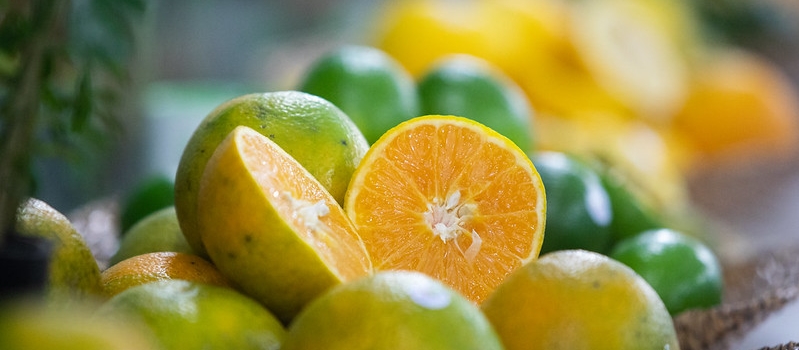 Símbolo da citricultura paulista: conheça a história e as curiosidades da laranja
