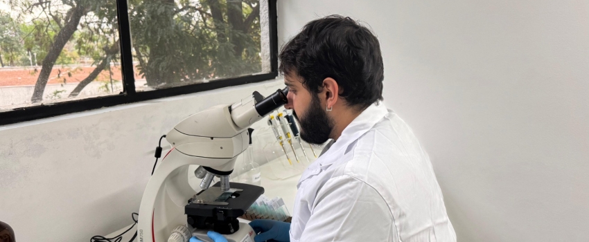 Mestrando do Instituto de Pesca estuda aspectos fisiológicos e potencial de transmissão viral em tilápias