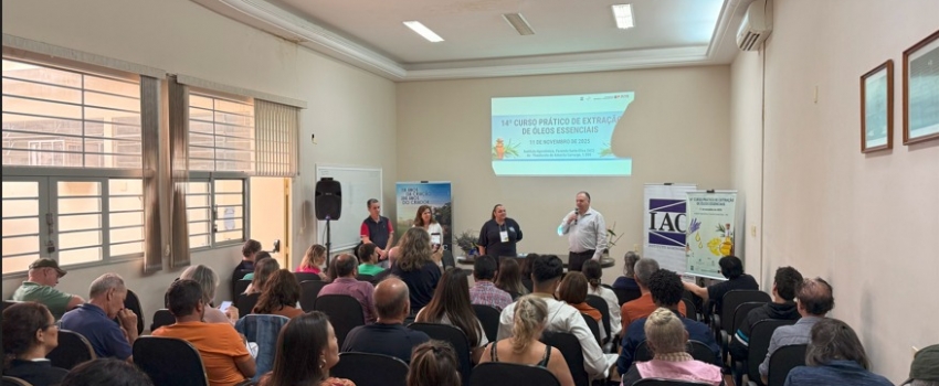 Curso do IAC-Apta destaca oportunidades e inovações no mercado de óleos essenciais