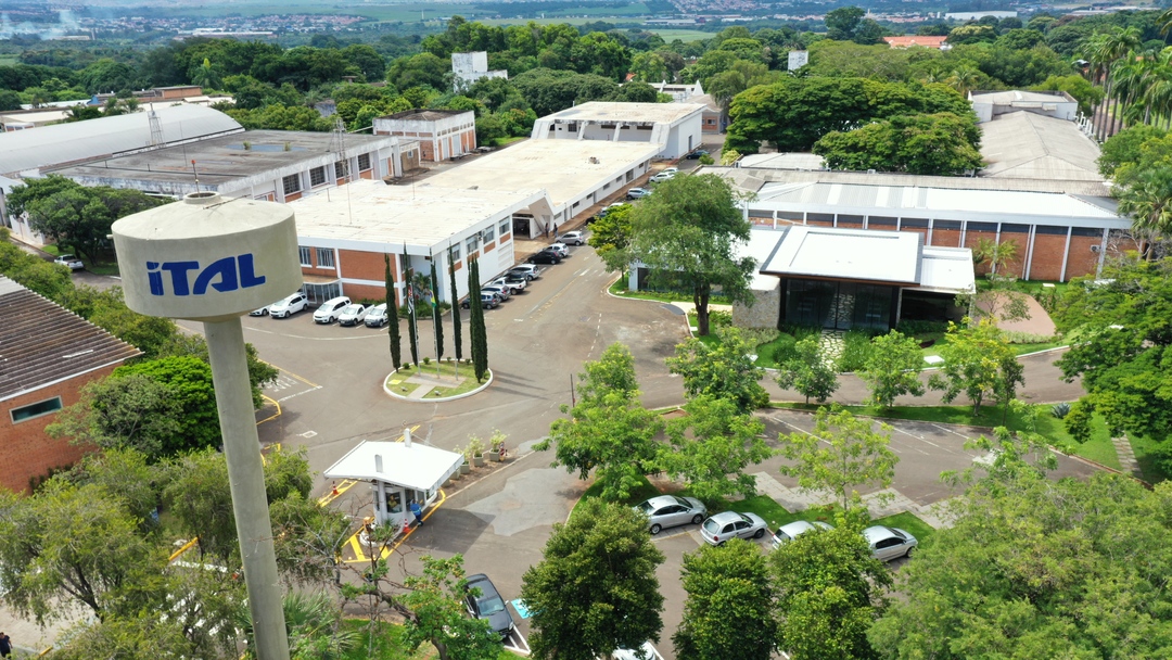 DJI 0984 1 1
