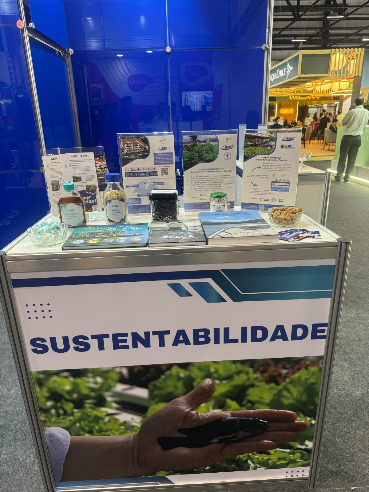 Instituto de Pesca impulsiona inovação na Seafood Show 2026