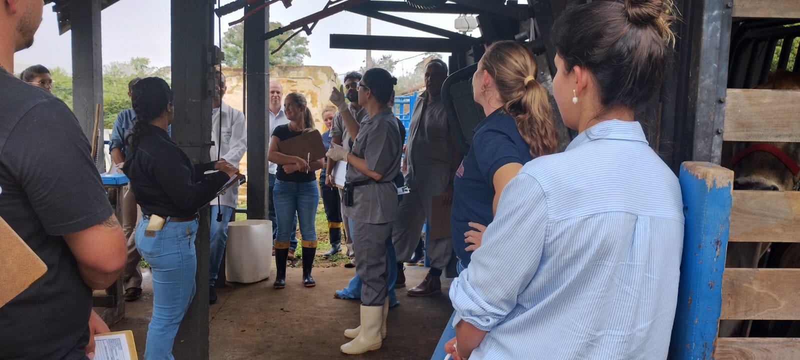 Instituto de Zootecnia sedia  XXXV Treinamento em métodos de diagnóstico e controle da brucelose e tuberculose animal