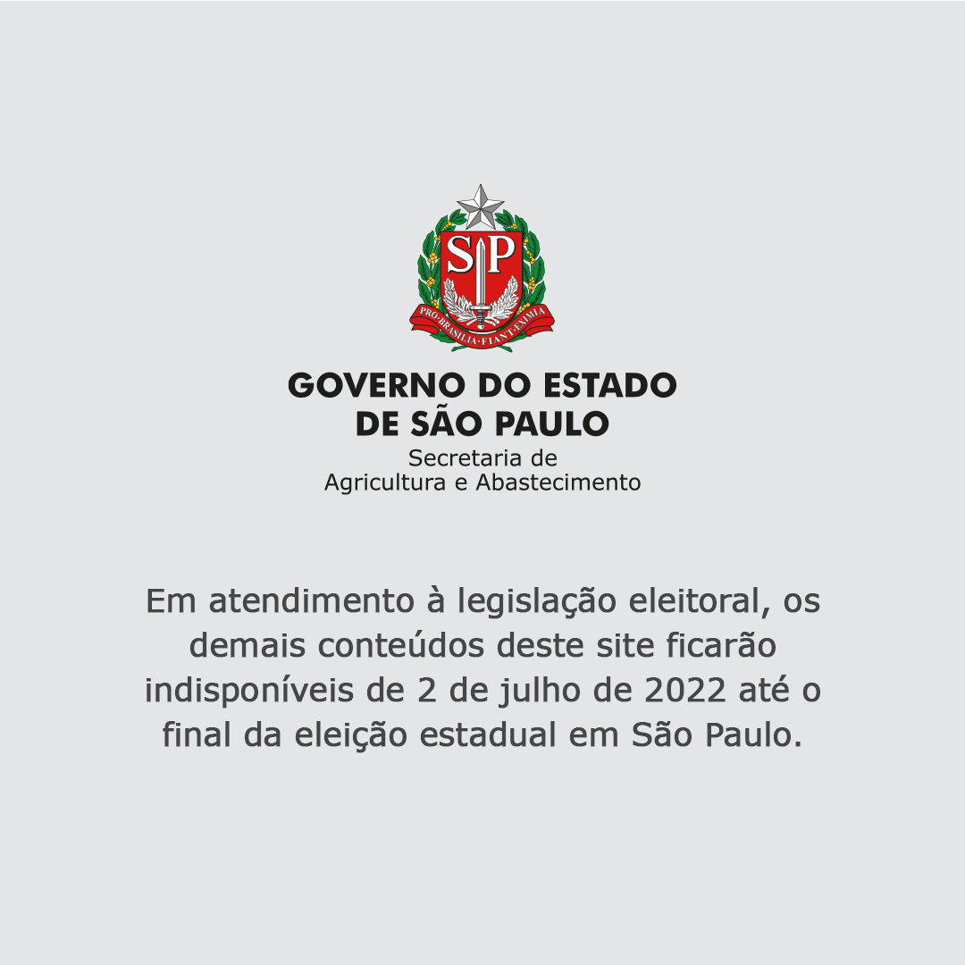 modelo imagem site